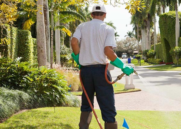 About Kingsland GA Pest Control Pros